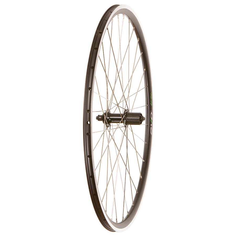 Wheel Shop, Evo Tour 16 Black/ Shimano Sora HB-RS300, Wheel, Front, 700C / 622, Holes: 32, QR, 100mm, Rim