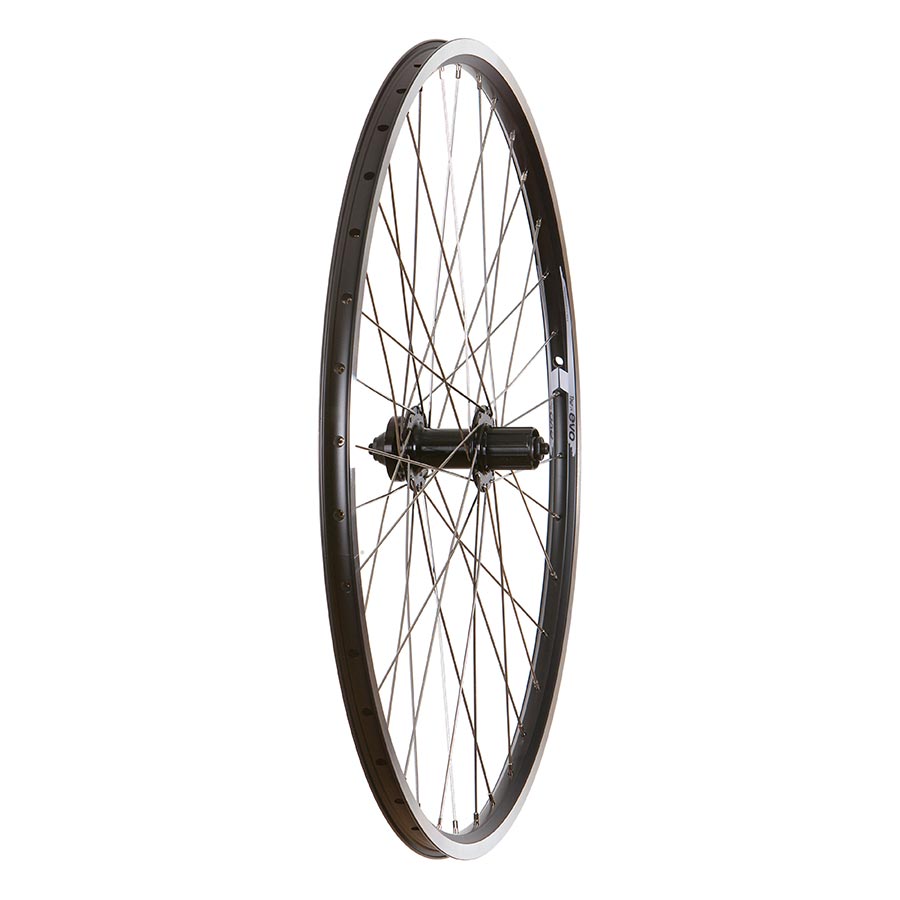 Wheel Shop, Evo Tour 19 Black/ Formula FM-21-QR, Wheel, Front, 700C / 622, Holes: 36, QR, 100mm, Rim