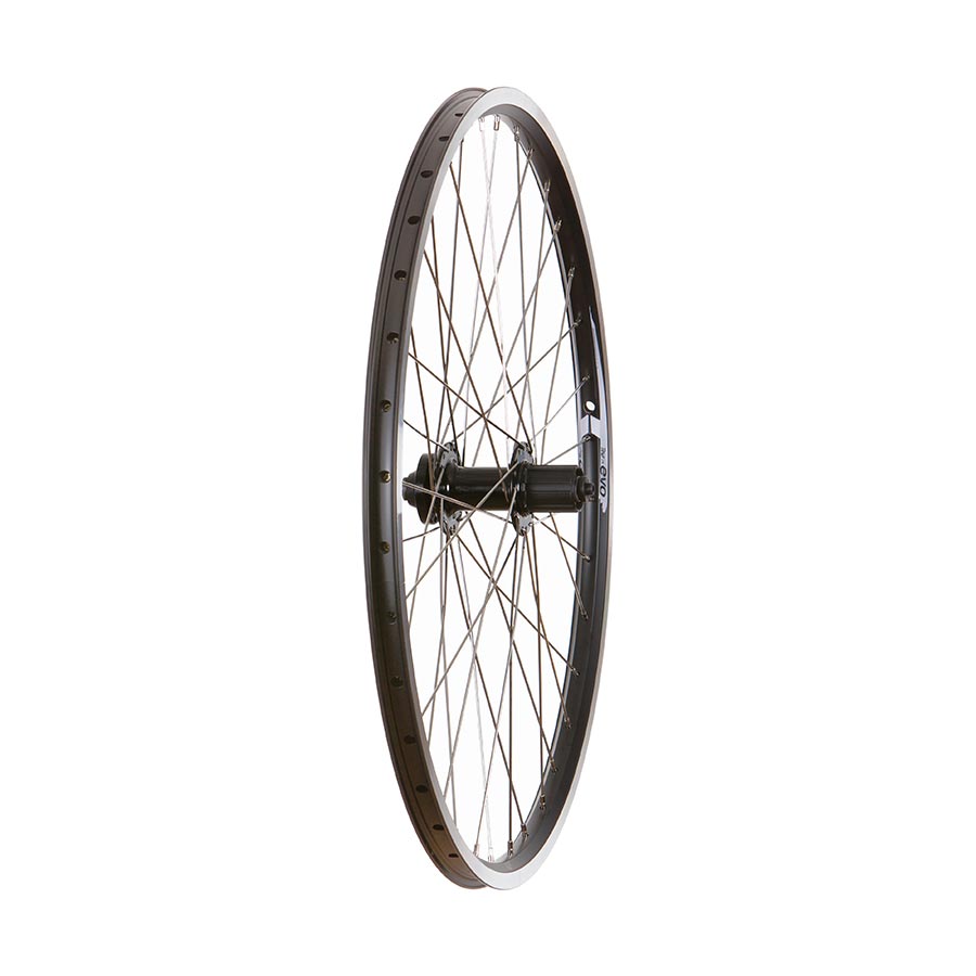 Wheel Shop, Evo Tour 19 Black/ Formula FM-21-QR, Wheel, Front, 26'' / 559, Holes: 36, QR, 100mm, Rim