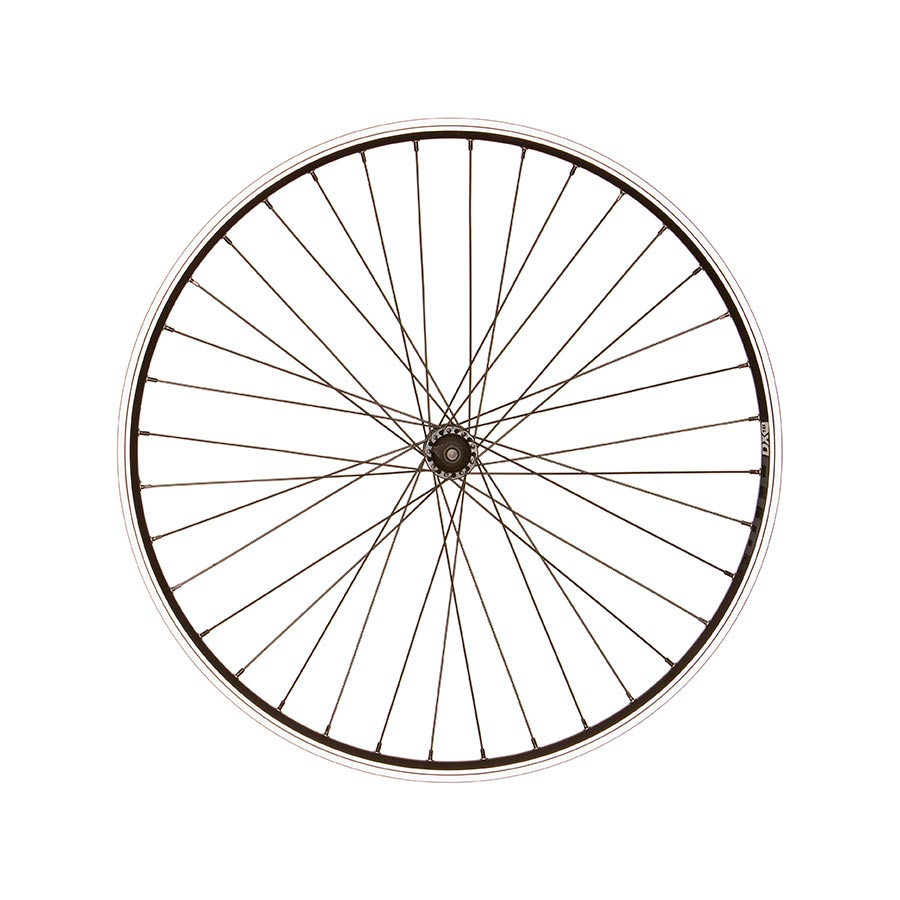 Wheel Shop, WTB DX18, Wheel, Front, 26'' / 559, Holes: 36, Bolt-on, 100mm, Rim