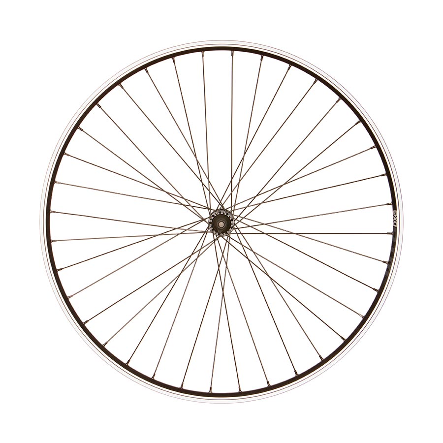 Wheel Shop, WTB DX18, Wheel, Front, 700C / 622, Holes: 36, Bolt-on, 100mm, Rim