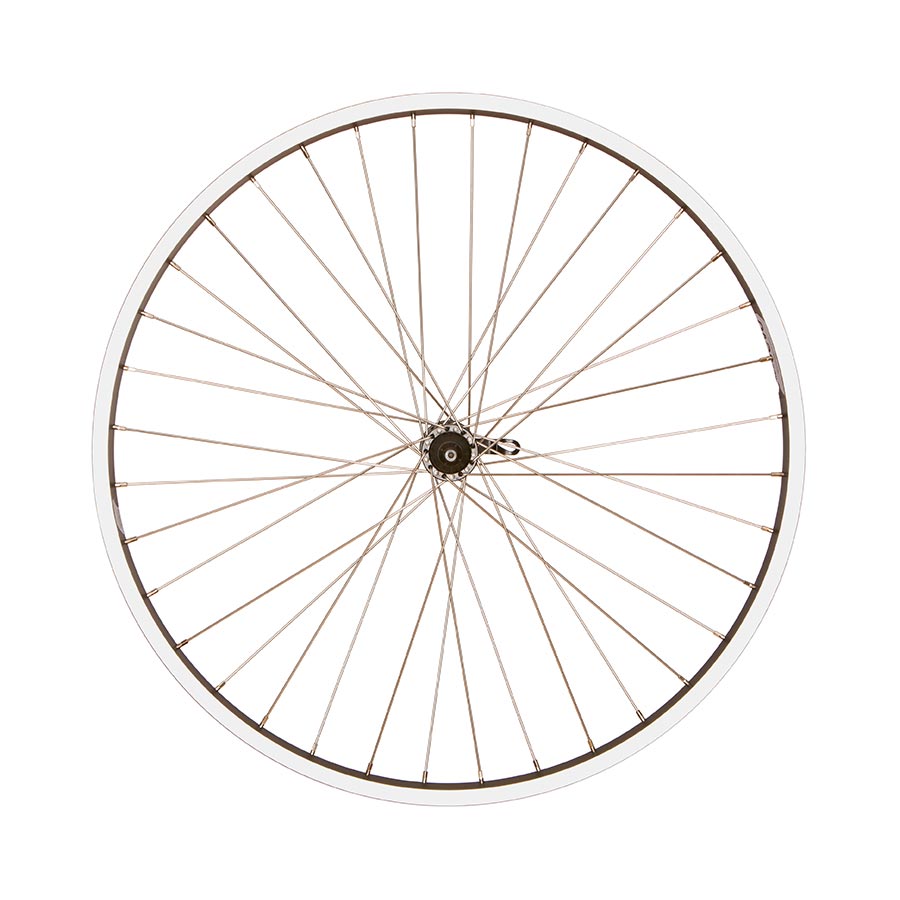 Wheel Shop, Evo Tour 20, Wheel, Front, 26'' / 559, Holes: 36, QR, 100mm, Rim