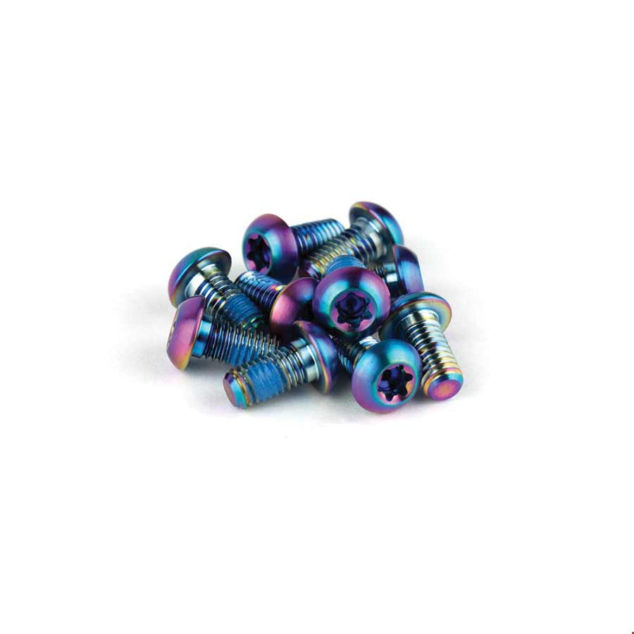 SRAM, Titanium Rotor Bolts, Rainbow, 12pcs