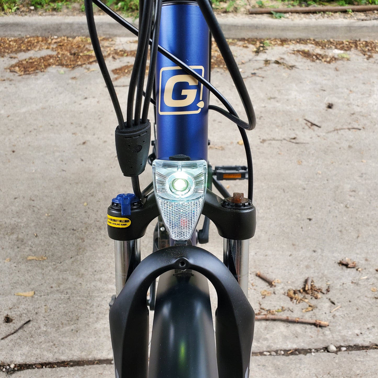 Genesis E-100 E-bike Electric Assist