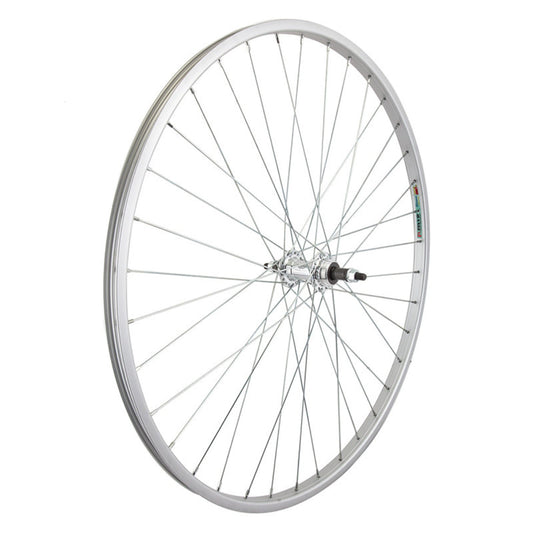 Wheel, Rear, 26" Freewheel